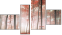 Fortych