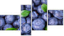 Fortych