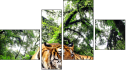 Fortych