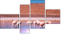 Fortych