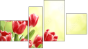 Fortych