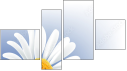 Fortych