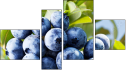 Fortych