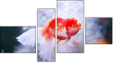 Fortych