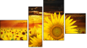 Fortych