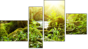 Fortych