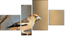 Fortych