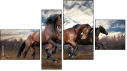 Fortych