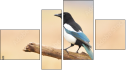 Fortych