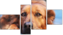 Fortych