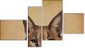 Fortych