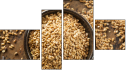 Fortych