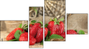 Fortych