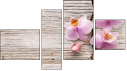 Fortych