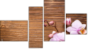 Fortych