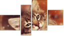 Fortych
