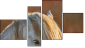 Fortych