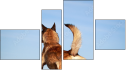 Fortych