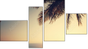 Fortych