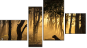 Fortych