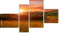 Fortych