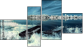 Fortych