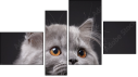 Fortych