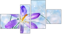 Fortych