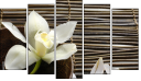 Pentaptych