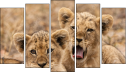 Pentaptych