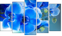 Pentaptych