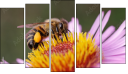 Pentaptych