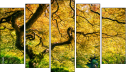 Pentaptych