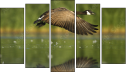 Pentaptych