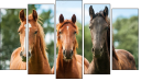 Pentaptych