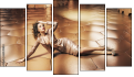 Pentaptych