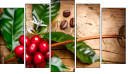 Pentaptych