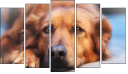 Pentaptych