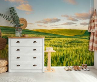 soliga kullar i solnedgangen landskap tapeter tapeter demural