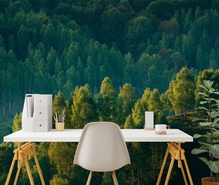 skogens djup med tradutsikt landskap tapeter tapeter demural