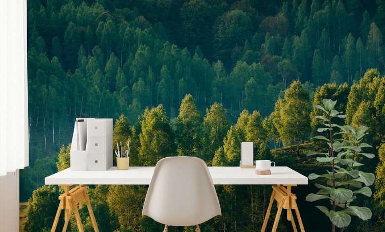 skogens djup med tradutsikt landskap tapeter tapeter demural