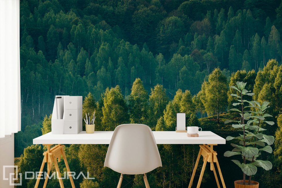 Skogens djup med trädutsikt Landskap Tapeter Tapeter Demural