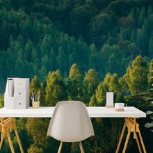 Skogens-djup-med-tradutsikt-landskap-tapeter-tapeter-demural