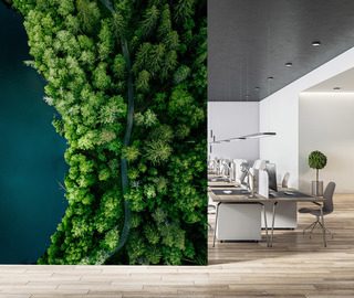 skogsstig vid vattnet ur fagelperspektiv tapeter for kontoret tapeter demural