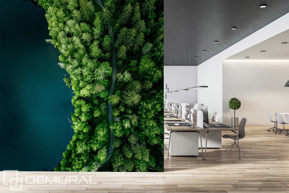 Skogsstig vid vattnet ur fågelperspektiv Tapeter för kontoret  Tapeter Demural