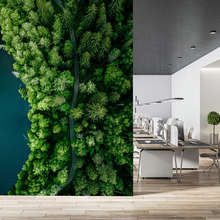 Skogsstig-vid-vattnet-ur-fagelperspektiv-tapeter-for-kontoret-tapeter-demural