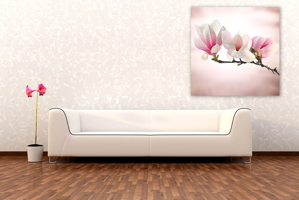 Magnolia i blom Blommor Posters Posters Demural
