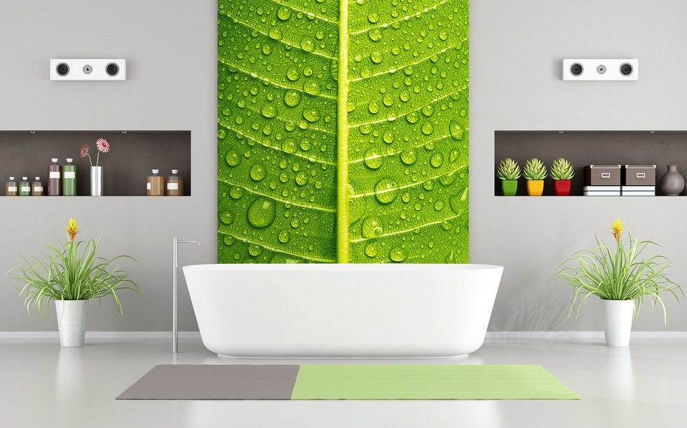 Grön, intim zoom Tapeter för badrummet Tapeter Demural