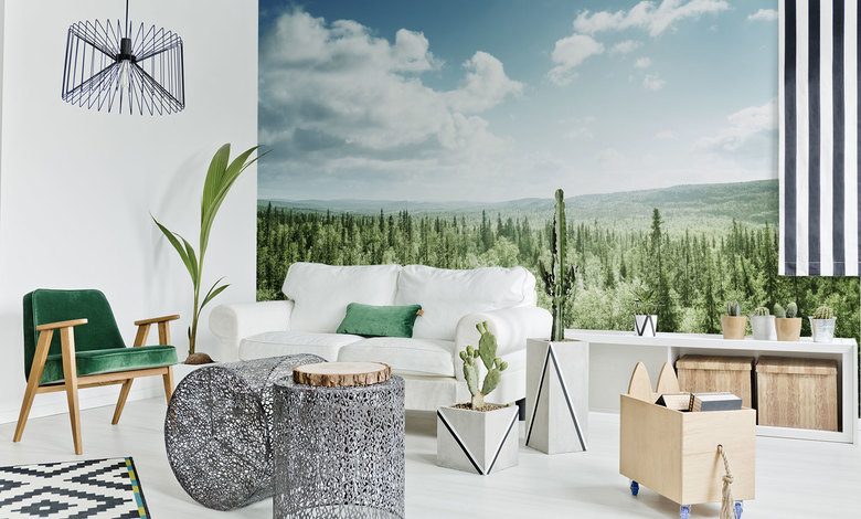 i ett vackert skogshorn skog tapeter tapeter demural