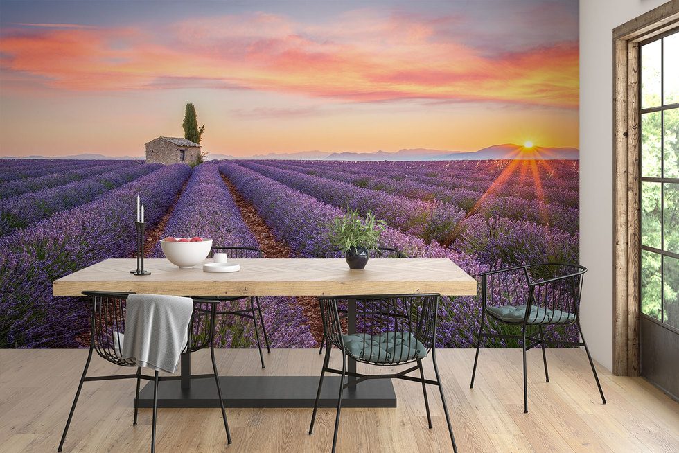 Lavendelfält ända fram till horisonten Provence Tapeter Tapeter Demural